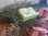 Handmade Seife mit Sheabutter pastel rose gelb grün blau Geschenk Muttertag